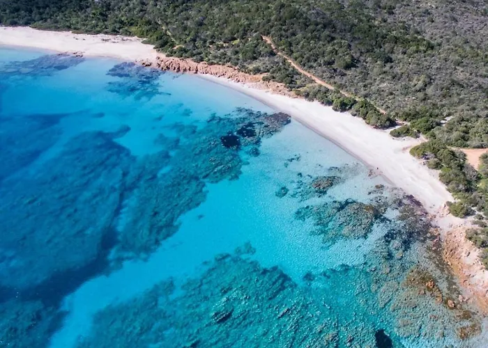 Casa Luna Holiday home Olbia